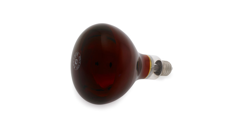 Bombilla IR mod. Therap