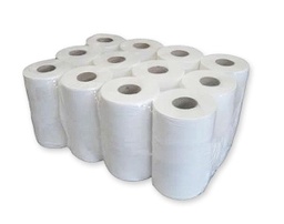[010162] Papel minisecamanos Rollos 80mx21cm 2 capas - Gomà Camps